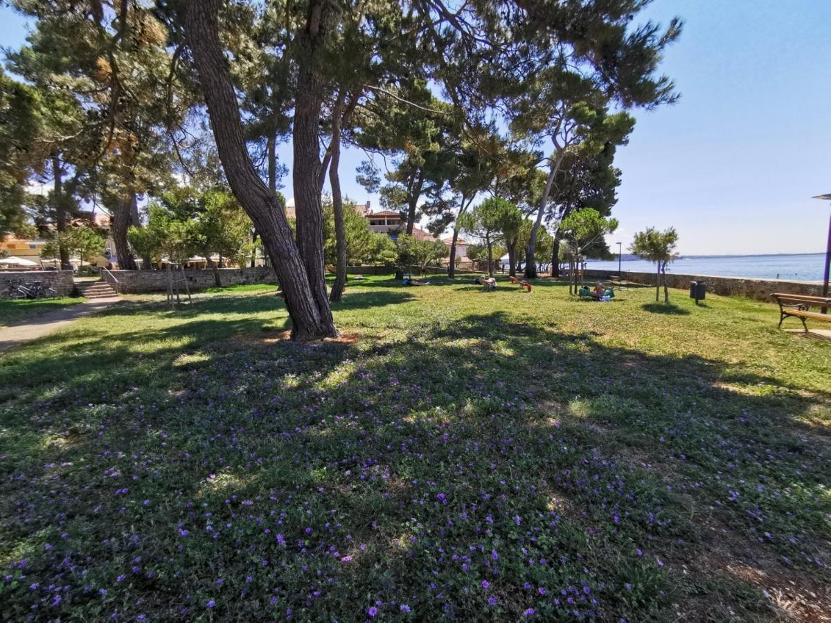 Stella Deluxe Superior 5 Star Apartment, Your Piece Of Heaven By The Sea & Park, With Sea View Novigrad (Istria) Exterior foto